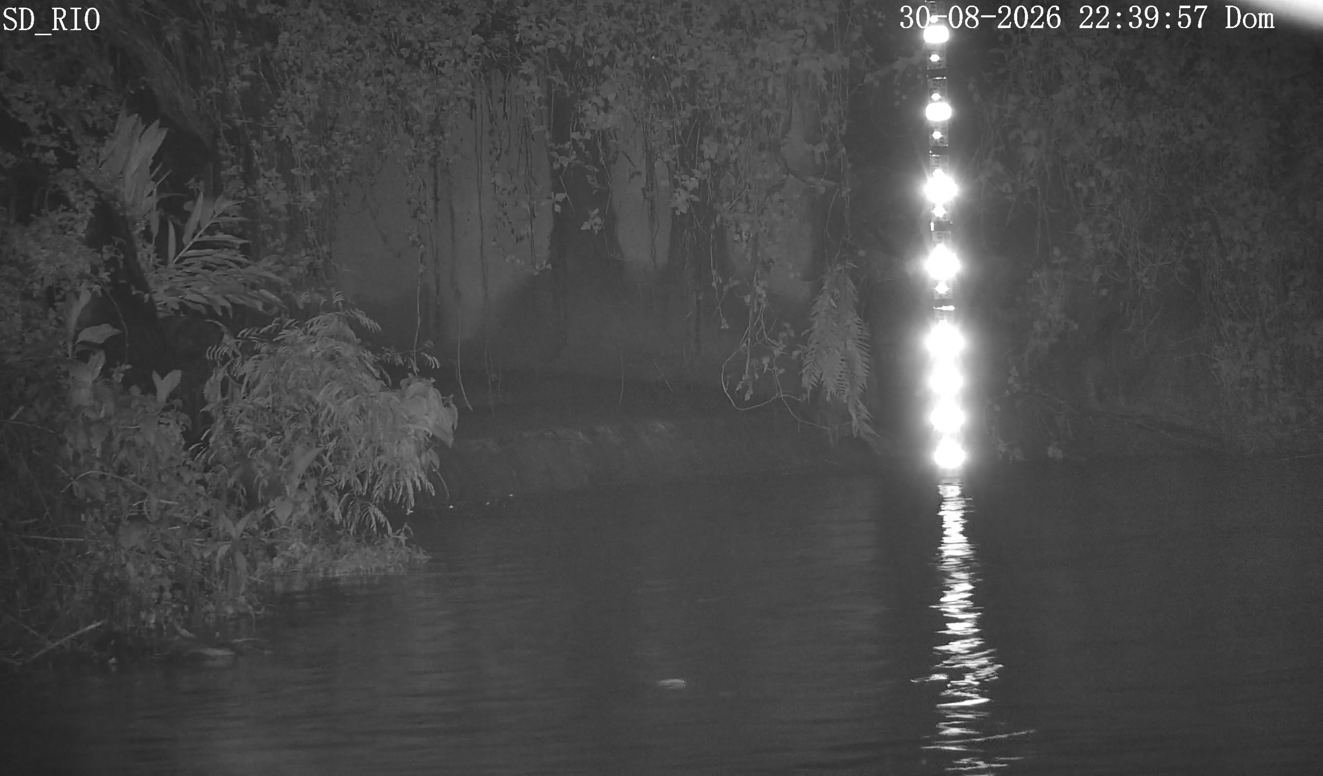 JPEG original intacto